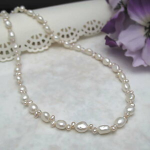 ^lbNX lbNV[YW^lbNX24-156Z1_ Wp[ p[ WG[ ^썥@30N JWA  H v[g j lC