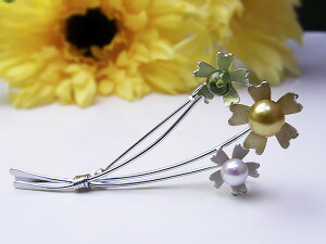 ^u[`  Reflection Color Ԃ̃u[` p[u[` p[ WG[ w ^썥 30N mF yhbg S[h ߕi ^ v[g  lC 