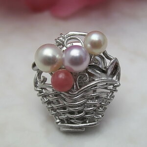 ^u[` ȉԂ@^Cj[sp[ WG[ w@^썥@30N ߕi ^ v[g CJ[Y lC a