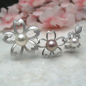 ^u[` wUȂxu[`p[ WG[ w@^썥@30N 炭Ǝ   W^ v[g TN lC i