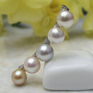 ^u[` w5̋x }`J[p[ WG[ w@^썥@30N ߕi sN ^ v[g CG[ lC a