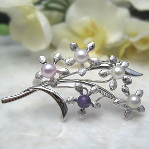 ^u[`  Yȑ̃u[` p[ u[` WG[ w ^썥 30N ߕi ^ v[g  lC a AWXg