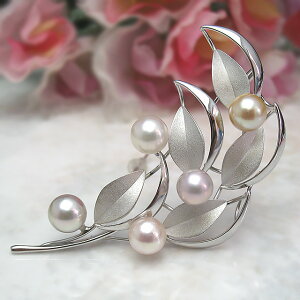 ^u[`  i`u[`w ؘR}`J[ XyVx@ p[ ^ u[` WG[ u[ ^썥 30N H   v[g e I