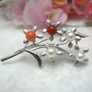 ^u[` 1 Yȑ̃u[` p[u[` ^ p[ ^썥 30N w Ǝ l   ^ Vo[X