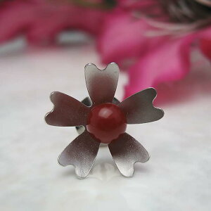 Xu[` Reflection Colors@ԎX^Cj[s TS WG[    X荥 35Ni  H v[g j lC җ