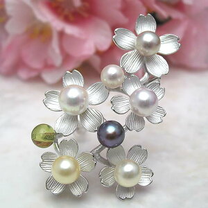 ^u[`  UȂu[` WG[ p[ w ^썥 30N Ǝ sN ߕi W^ ^ v[g  lC a O[