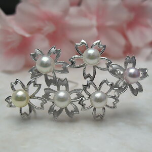 ^u[` wUȂxu[`p[ WG[ w@^썥@30N  i  v[g TN j