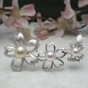 ^u[` wUȂxu[`SAKU-1p[ WG[ w@^썥@30N 炭Ǝ   W^ v[g TN lC i