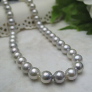 ^lbNX w i`lbNX8.5×9~ x^Ȋwӕʏtp[ ^썥@30N lbNXߕi ^i`  lC a