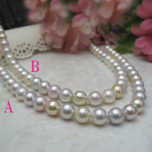 ^lbNX Xĝt@V[}`J[lbNX9.5×10~WG[ w Ǝ ^썥@30N u[   sN CG[ ǂɂȂ lC 