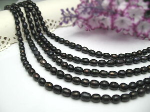 p[lbNX  WlbNX5.5×6~ Wp[ W^ ubN xr[ JWA v[g