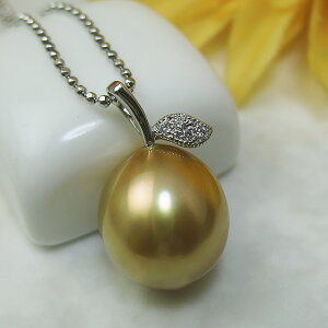 ^ y_ggbv wPt900@mFSy_g12~xp[ WG[ w@^썥@30N Fߕi m   ь a