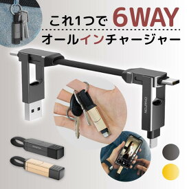 6in1 マルチ充電ケーブル USBケーブル マルチケーブル CHAFON ALL IN CHARGER オールインチャージャー Incharge 充電 iPhone 短い コンパクト Andoroid iPad 急速充電 マルチ タイプc マイクロusb lightning スマホ キャップ Type-C Lightning microUSB Android InCharge6
