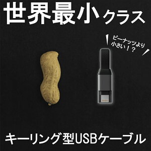 �L�[�`�F�[���^USB�P�[�u�� �y inCharge PRO �z usb type-c MFi�F�� ���C�g�j���O�P�[�u�� �[�d �g�їp �}���`�P�[�u�� Mfi �P�[�u�� �ϊ� iPhone Andoroid iPad ��ʔ̔� �C���`���[�W �R���p�N�g iPhone15 �P