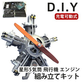 【可動エンジン模型】星形5気筒 エンジン模型 組立キット 星形 飛行機エンジン DM116 大人がハマる 本格 仕様 モーター で リアル に駆動 細部までリアルに拘った エンジン 構造 模型 飛行機の教材