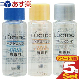 【あす楽発送 ポスト投函！】【ホテルアメニティ】【業務用化粧品】マンダム(mandom)LUCIDO(ルシード) ミニボトル8ml×5個セット (ヘアトニック・アフターシェーブローション・ヘアリキッドから選択） - 無香料、無着色。【ネコポス】【smtb-s】