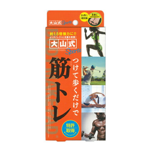 【53%OFF!】大山式ボディメイクパッド スポーツ(Body Make Pad Sports) (旧 プロ PRO)
