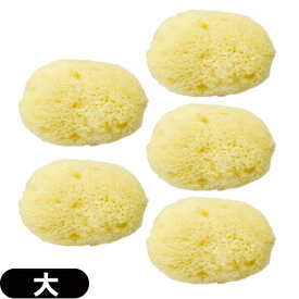 ◆【最強翌日配送 ネコポス送料無料】【天然スポンジ】ユタカ 天然海綿スポンジ(フェイススポンジ) 大(約5~7cm)×5個セット/(NATURAL SEASPONGE ナチュラル・シースポンジ) ※完全包装でお届け致します。【smtb-s】