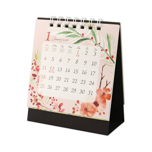 2026J_[SS1@lG̉ԁbcal-219 2026N J_[  RpNg  ~j ԕ A CeAJ_[  ؂₩ av[g av V Mtg v`M