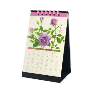 2026J_[MLc1@[Ybcal-224 2026N J_[  RpNg ~j ԕ A ΂ o [Y KN  ؂₩ av[g av V Mtg v`Mtg f