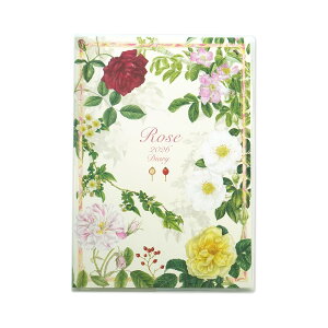 2026_CA[A5@NVbN[Ynbdy-134 2026N _CA[ 蒠 A5TCY ԕ A ΂ o [Y KN 25N12n܂ jn܂ }X[ J^ g ꗱ{ N 