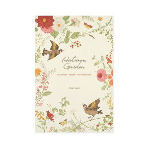 ͂ⳁ@I[^K[fbhgs-402