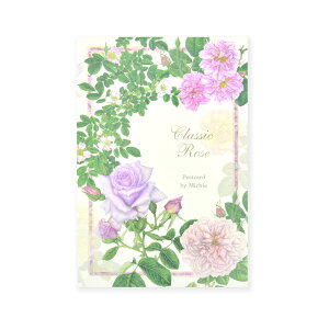 ͂ⳁ@NVbN[Y@[Xbhgs-424