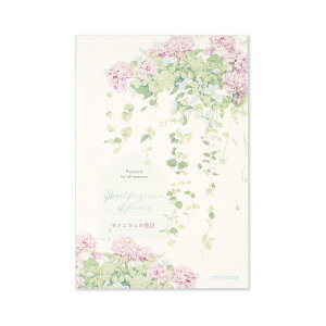 はがき箋 ゼラニウムの窓辺|hgs-451 フロンティア ハガキ 葉書 私製 定形 定型 郵便番号 枠あり 罫線あり 2柄5枚 全10枚入り カラー レター 大人 おしゃれ お洒落 シンプル かわいい 可愛い