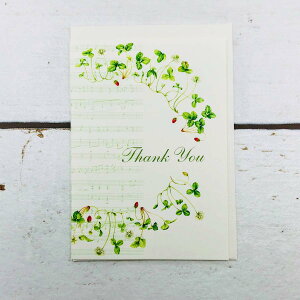 ~jJ[h TL[ C`S teBA fUC  l