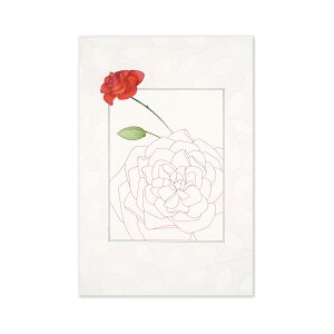 |XgJ[h@Sakai-016bpcr-032@teBA ͂ Gt  ` ^ X֔ԍ g rȂ 1 J[ Jt ^[ l   Vv 킢  i 