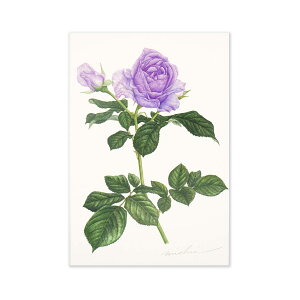 |XgJ[h@̂Ԃǁbpcr-045@teBA ͂ Gt  ` ^ X֔ԍ g rȂ 1 J[ Jt ^[ l   Vv 킢  