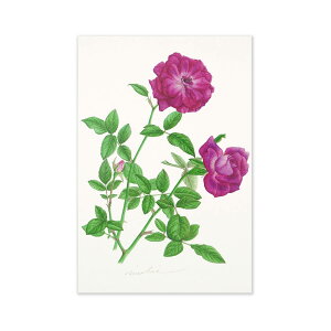 |XgJ[h@o[KfB[ACXo[Obpcr-047@teBA ͂ Gt  ` ^ X֔ԍ g 1 l   Vv 킢  i  A[g 