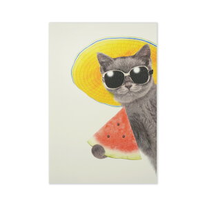 ポストカード ネコスイカ|pcr-093