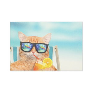 ポストカード ネコビーチ|pcr-095