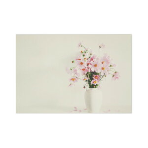 |XgJ[h RXXƉԕrbpcr-105