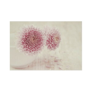 |XgJ[h _AƉԕrbpcr-106