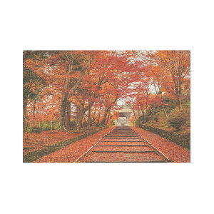 |XgJ[h gtƂЁbpcr-112