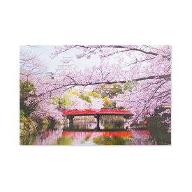 ポストカード　城と桜｜pcr-136