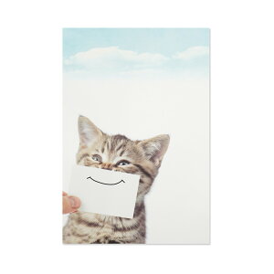 |XgJ[h@X}ClRbpcr-139