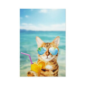 T}[|XgJ[h@lR@IWbpcr-145