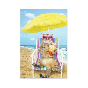 T}[|XgJ[h@lR@CG[pXebpcr-146