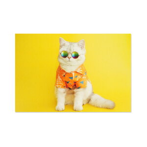 T}[|XgJ[h@lR@IWVcbpcr-147