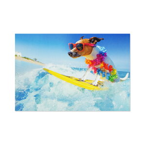 T}[|XgJ[h@Ck@T[t@[bpcr-148