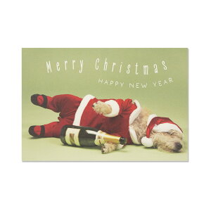 �N���X�}�X�|�X�g�J�[�h�@�����ǂꃏ���R�T���^�bpcr-154