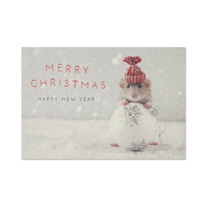 �N���X�}�X�|�X�g�J�[�h�@�X�m�[�{�[���ƃl�Y�~�bpcr-155
