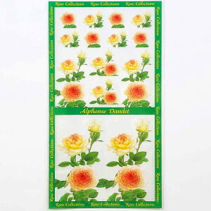 V[ AtH\h[e teBA g ԕ o [Y fUC  l