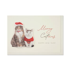 ̃NX}XJ[h@yALbcbxcd-307