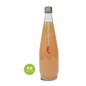 Water repellent Top Coating EH[^[ yg gbv R?eBO dグp 410ml |KEMITEC Lusso Rosso P~ebN b\b\  J[Vv[ ȒP  ی  Xv[  