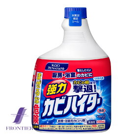 強力カビハイター　業務用カビ取り剤　花王　つけかえ用　1000ml　お得な6個セット