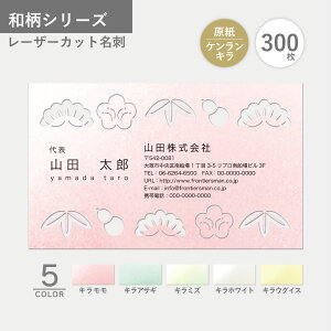 IWi h쐬 a PL [U[Jbg I[_[  VNx V  a_ N N̗ǂfUC Vv g₷  30yC[Wm